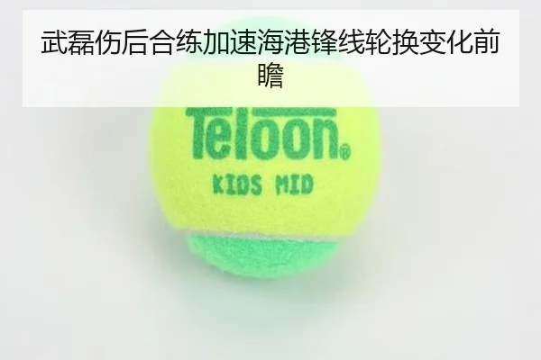 武磊伤后合练加速海港锋线轮换变化前瞻 | LEDONG.COMapp